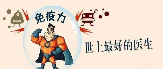 一味成方尹涛：提高免疫力，灵芝孢子油是最好的灵材