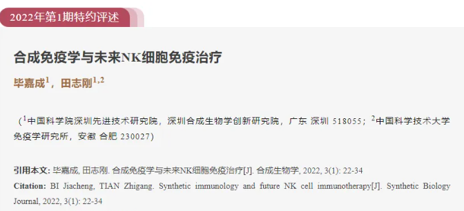 灵芝孢子油:激发人体抗癌卫士NK细胞活性,守护健康防线! 灵芝孢子油:激发人体抗癌卫士NK细胞活性,守护健康防线!