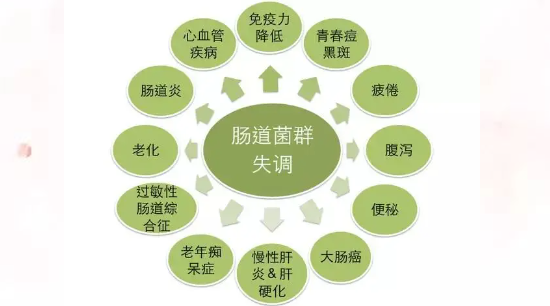 吃好就一定能吸收好？灵芝孢子油告诉你消化系统怎么养护！