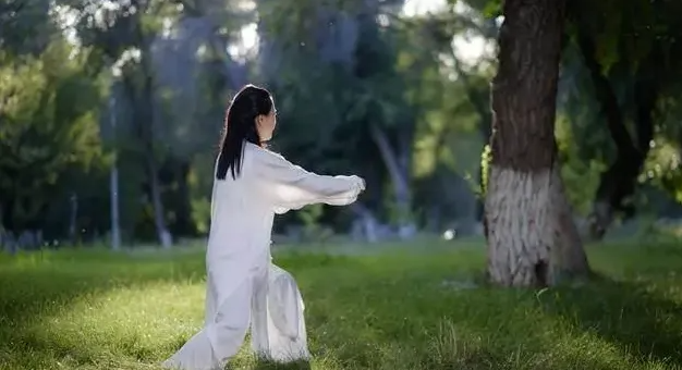为什么说灵芝孢子油更适用于更年期女性