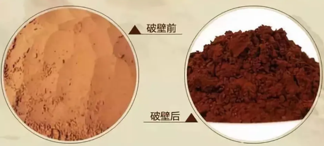 灵芝孢子油的价格差异比孢子粉更悬殊！警惕孢子油低价陷阱
