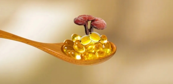 灵芝孢子油，中老年人“三高”的克星！