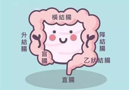 全球近1/3大肠癌新发在中国！结直肠癌更容易盯上谁？