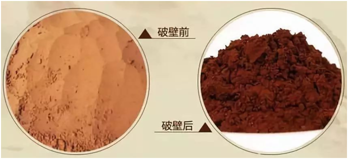 一味成方泰山灵芝尹涛:灵芝孢子粉破壁技术不同,价格也会不同