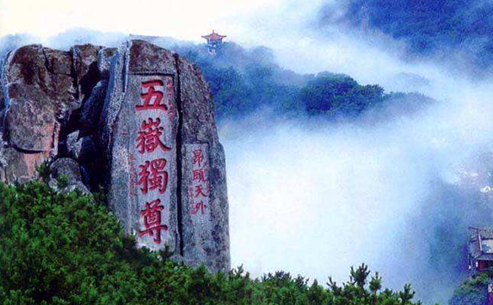 一味成方:泰山灵芝诠释了现代版的“四海皆安”