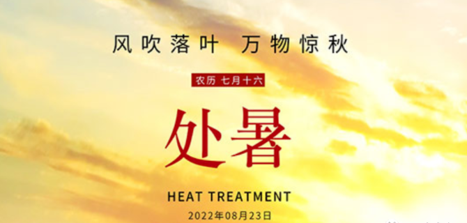 一味成方泰山灵芝尹涛:夏渐止秋未满,处暑时节灵芝健脾、养肺、防秋燥