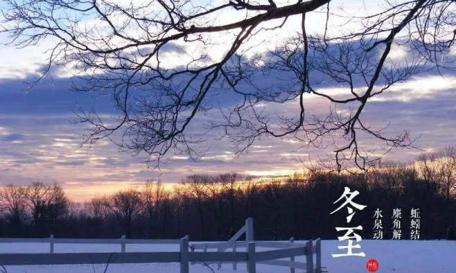 冬至进补,首选泰山灵芝孢子粉