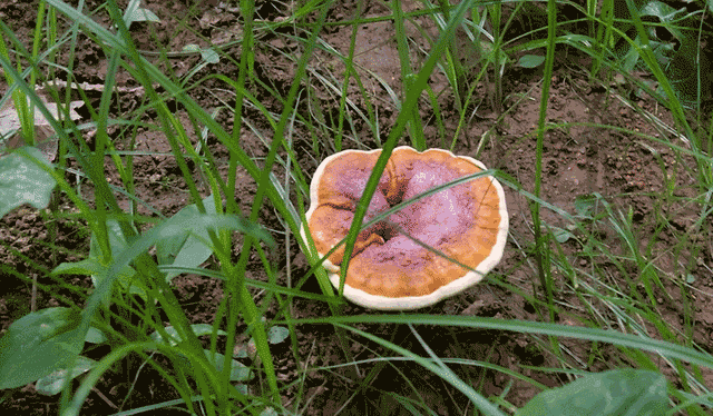 3d3d46fe5660bce5e154be6cfab4fdde.gif