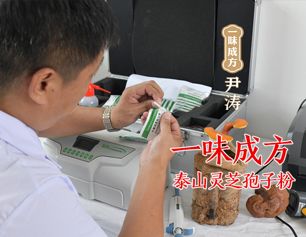 中药三千，为什么独独灵芝可以“久服多服不伤人”？