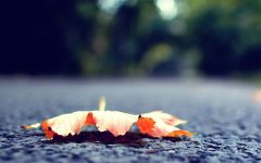 一味成方:立秋之际冷热交替,宜灵芝养生