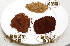 一味成方:如何鉴别灵芝孢子粉的真假好坏?
