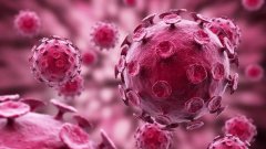 灵芝孢子粉扶助人体正气,抵抗新型冠状病毒