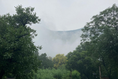 这两天的泰山采芝节,恍如行走在画里